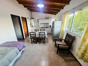 Departamento Lanin